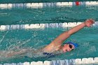 Swimming vs Babson  Wheaton College Swimming vs Babson College. - Photo By: KEITH NORDSTROM : Wheaton, Swimming, Babson